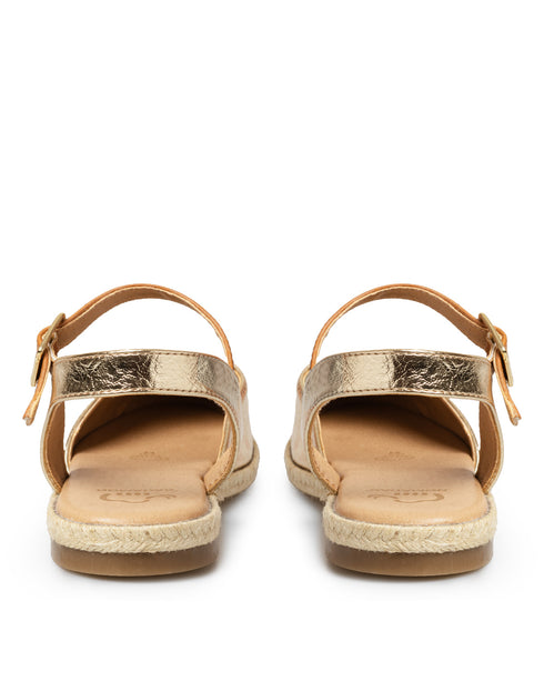 Alpargata Oro Casual MD41021